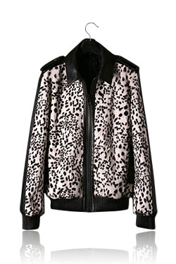 Dalmatian Jacket